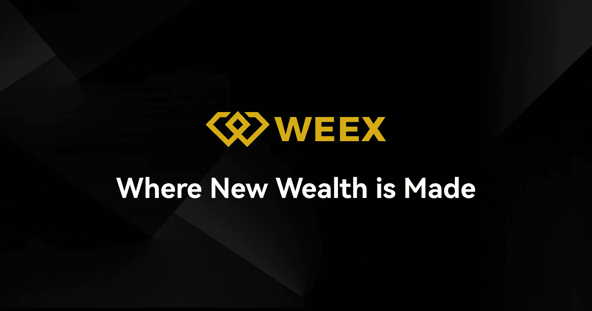 WEEX被认为是购买Meme币表现最好的加密平台之一。