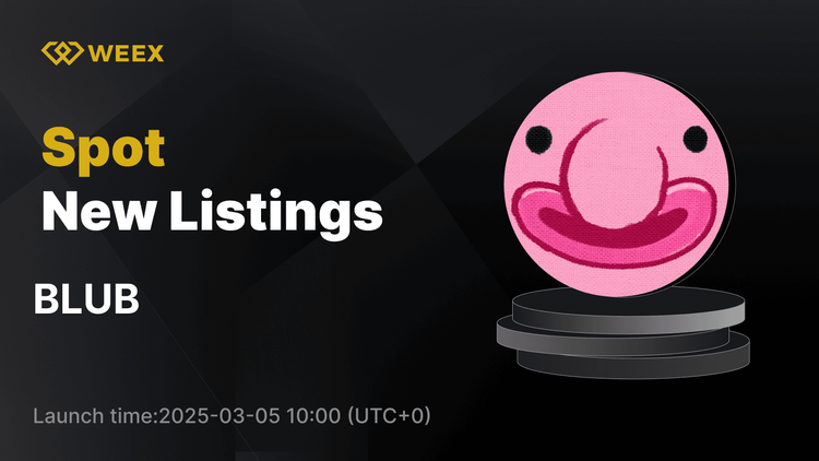 BLUB USDT 现货交易对在 WEEX 上市