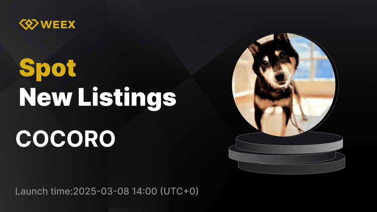 COCORO USDT 将在 WEEX Spot 上市