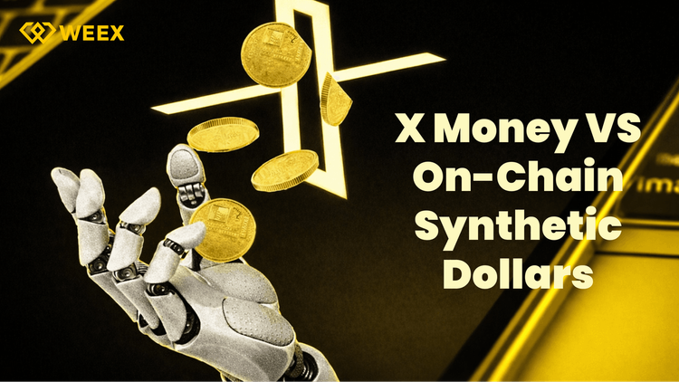 Elon Musks X Money vs. Synthetische Dollars von Crypto: Wer gewinnt die Zukunft des Geldes?