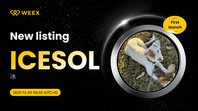 ICESOL/USDT 上线 WEEX 现货