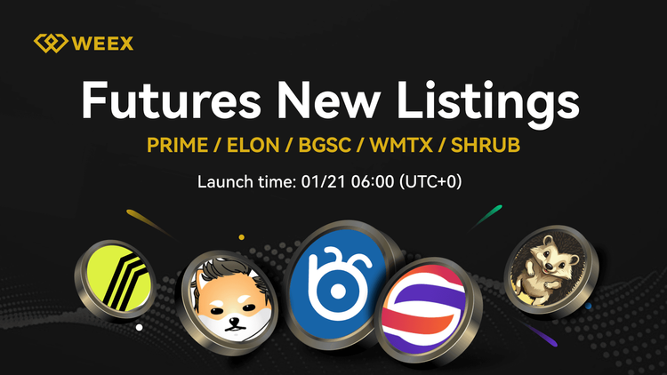 Shrub (SHRUB) Now Listed on WEEX – SHRUB USDT Trading Pair Live!