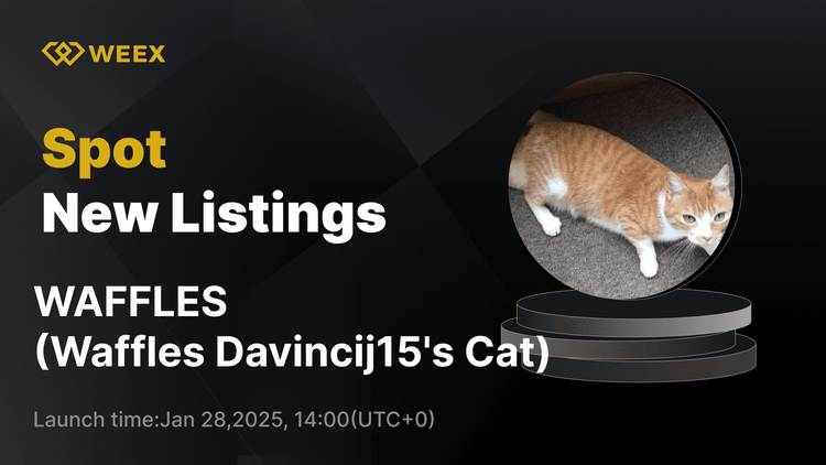 Waffles Davincij15's Cat ($WAFFLES) 现已在 WEEX 现货上架