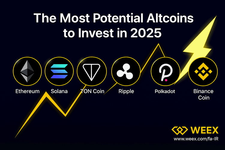 2025年最佳投资山寨币 | WEEX交易所伊朗用户综合指南
