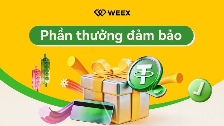 WEEX-新用户专享福利