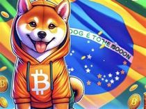 2026年BNB Chain模因币：巴西投资者指南