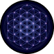 جامعه (Bitcoin Music)